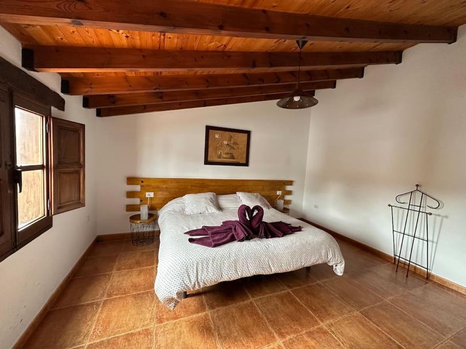 Villa With Pool In The Centre Of Fuerteventura 安提瓜 外观 照片